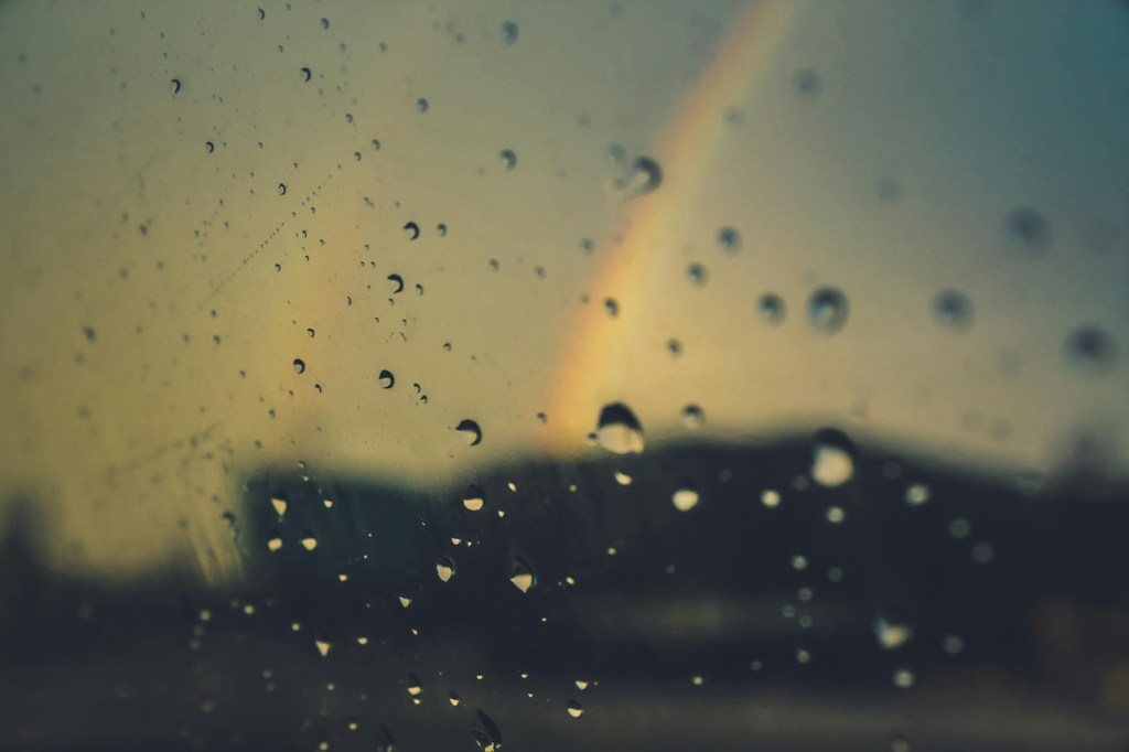 Discipline, Obedience and Section&nbsp;28